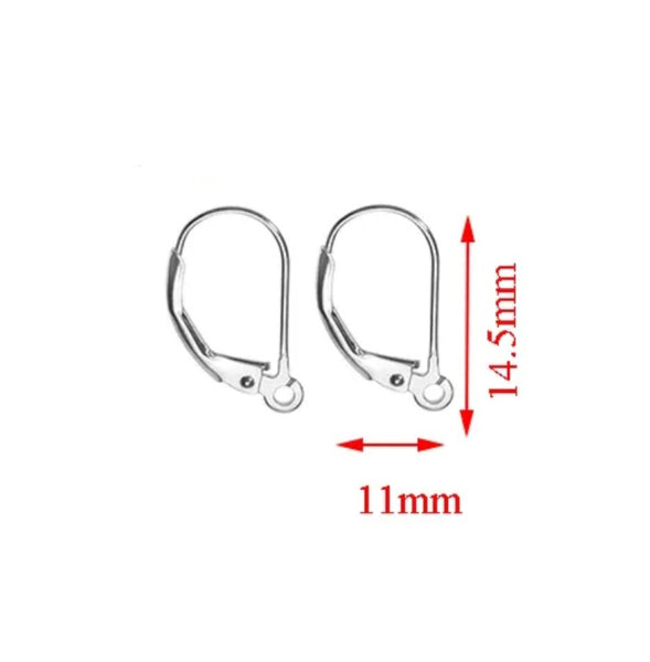 Stainless Steel Leverback Earring Hooks