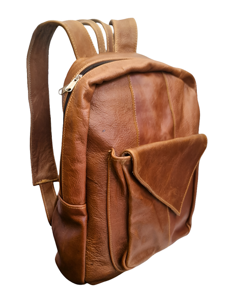 Leather Back Pack