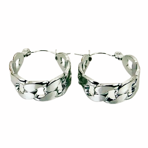 Stainless Steel Chain Hoop Earrings